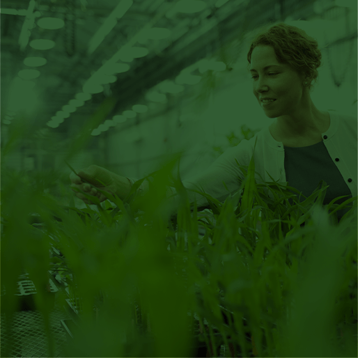 AG tech