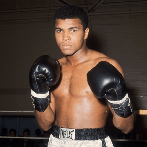 Everlast-Pic-4